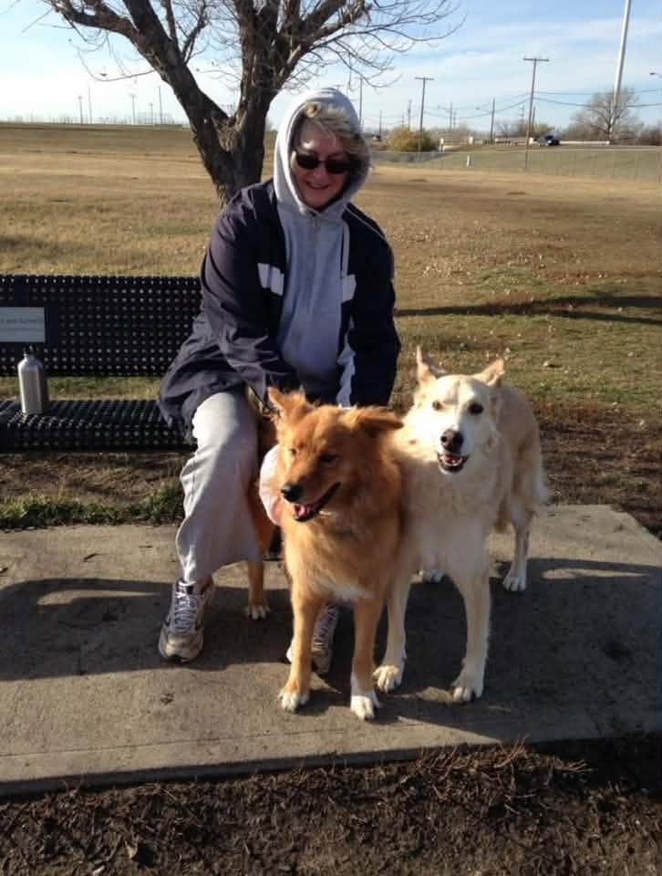A Regina dog park user sitting on a bench with two dogs