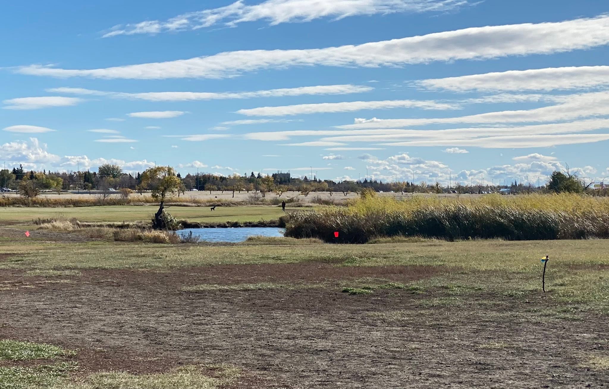 Cathy Lauritsen Memorial Off-Leash Dog Park in Regina
