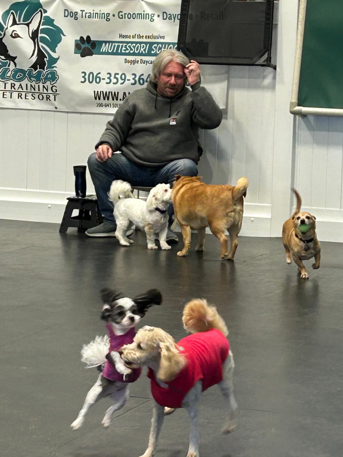 Members of Regina’s dog park community gathered with their dogs