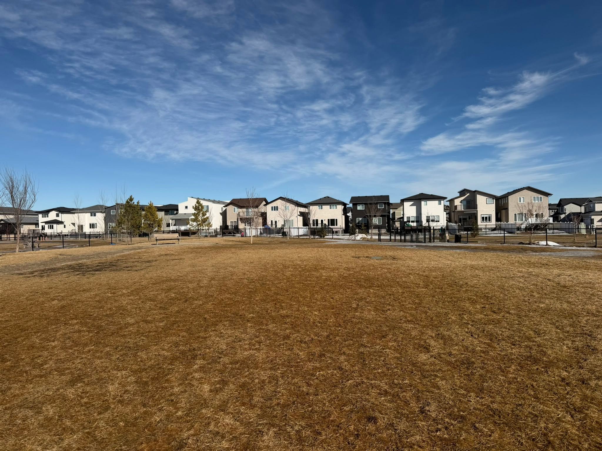 Horizon Station Dog Park