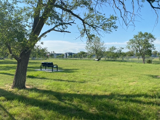 A dog enjoying the Māmowimīwēyitamōwin all-dog area