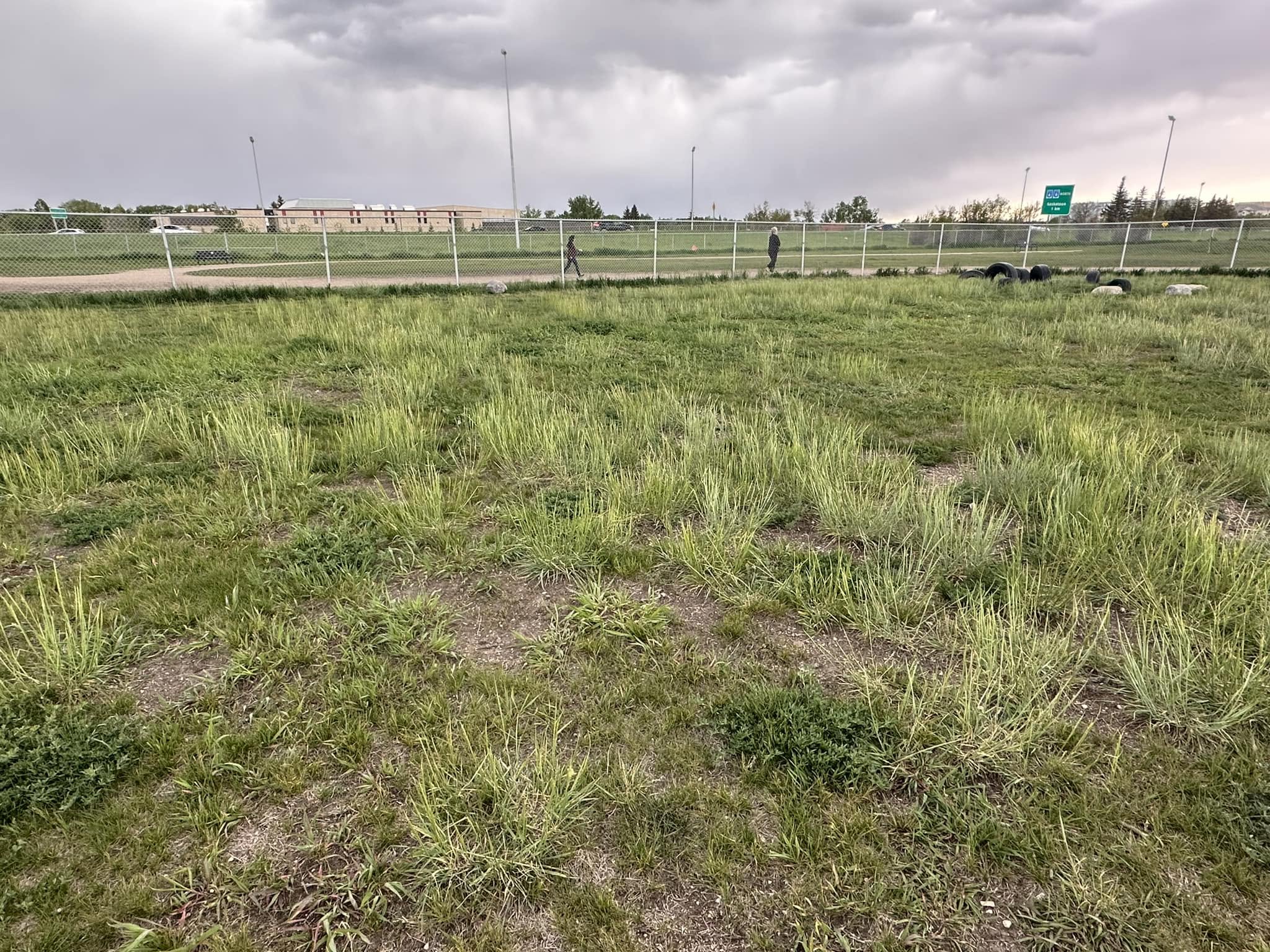 Mount Pleasant Small Dogs off-leash area in Regina