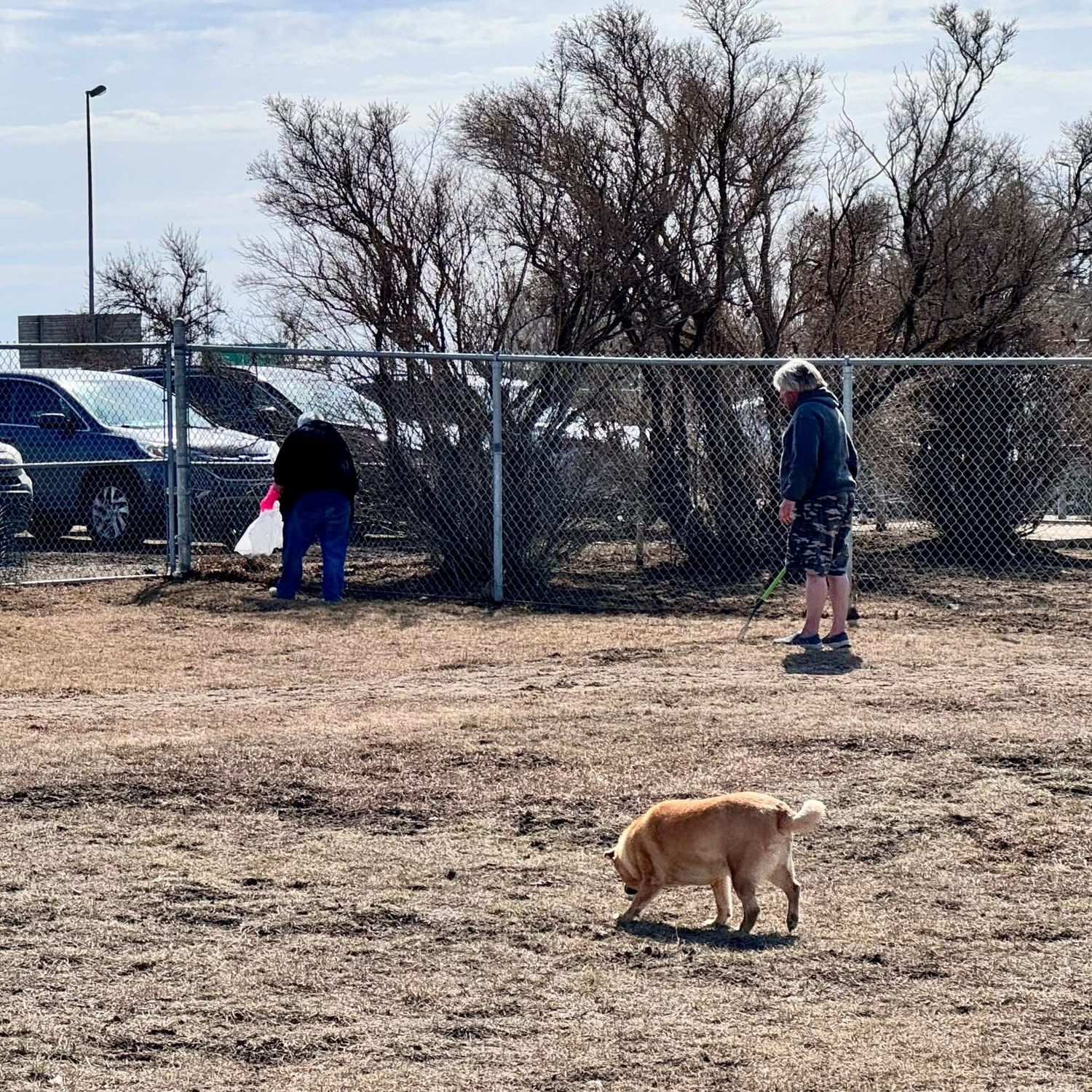 Park users and dogs enjoying a Regina off-leash dog park