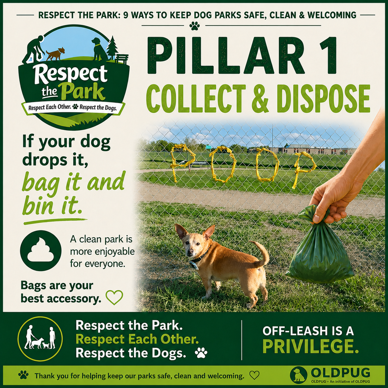 Respect the Park Pillar 1 poster: Collect and Dispose
