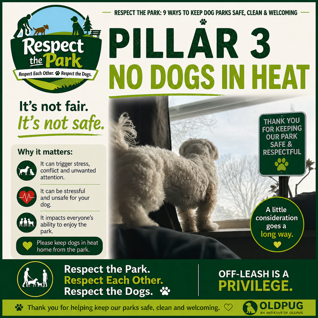 Respect the Park Pillar 3 poster: No Dogs in Heat