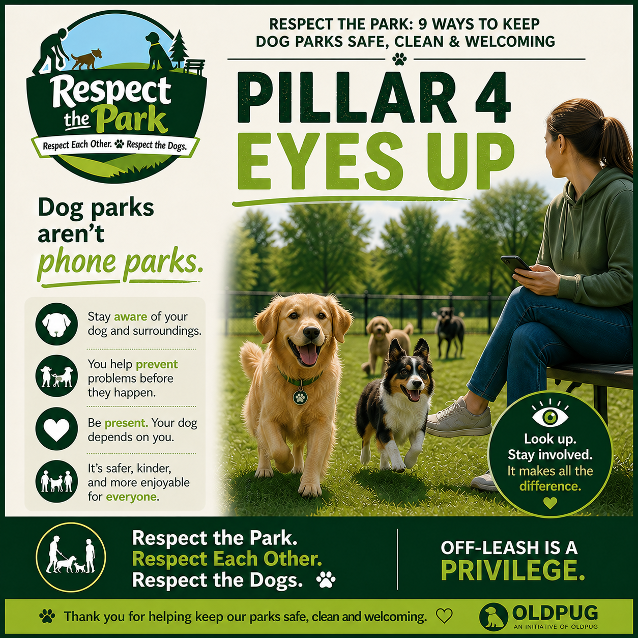 Respect the Park Pillar 4 poster: Eyes Up